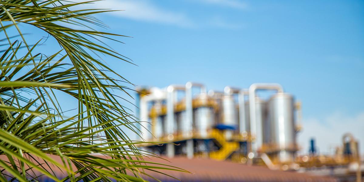factory-background-palm_tree