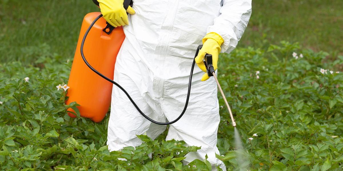 worker-in-chemical-suit-spraying-pesticide-field
