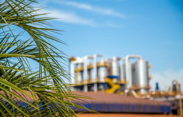 factory-background-palm_tree