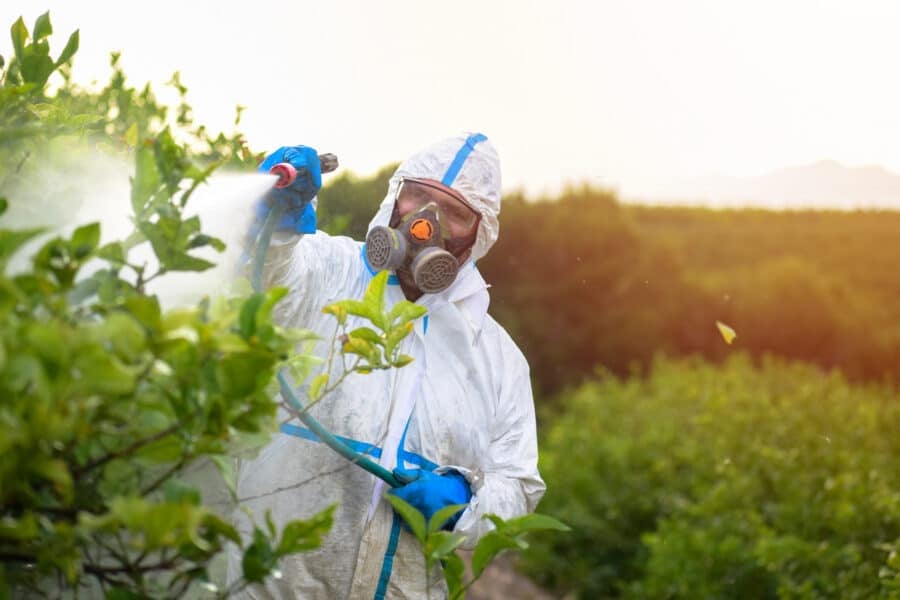 This is the image alt