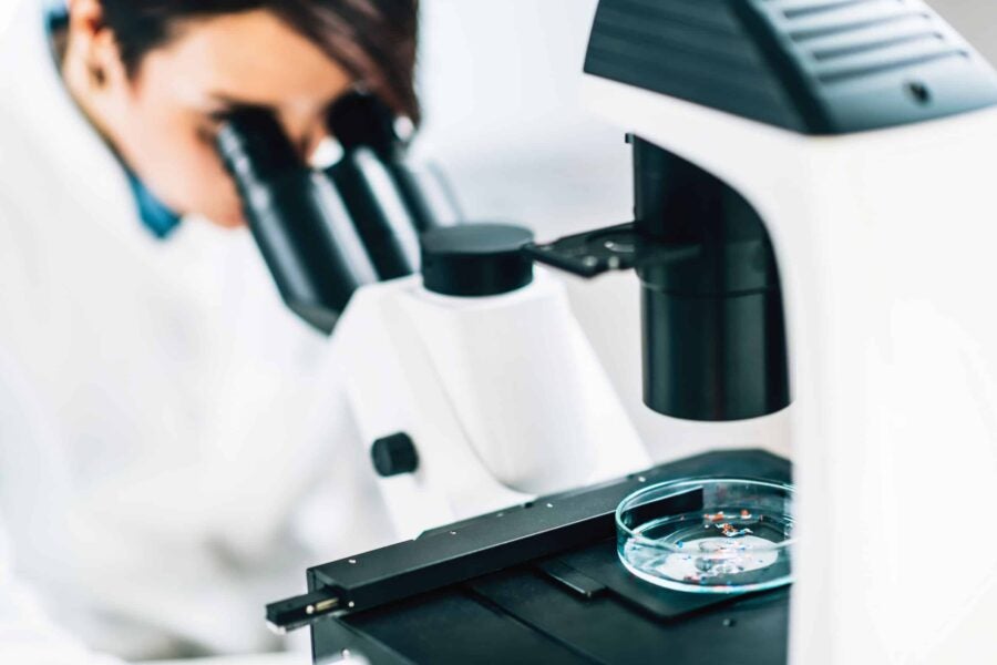 DEEP DIVE: U.S. Lawmakers, Packaging Manufacturers Emphasize Need for Federal EPR Implementation