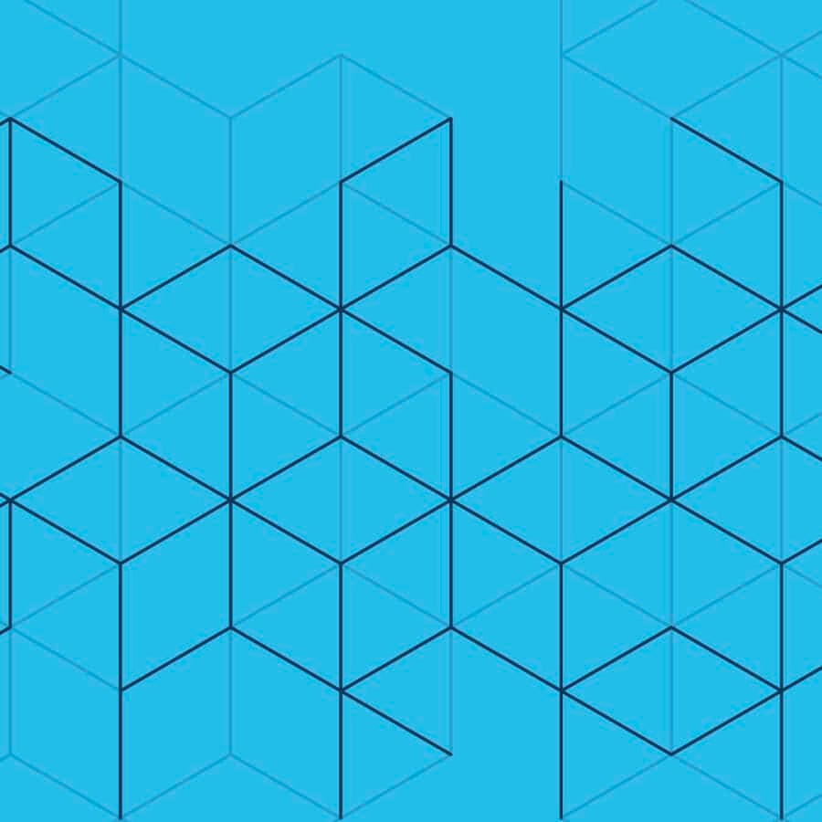 This is the image alt