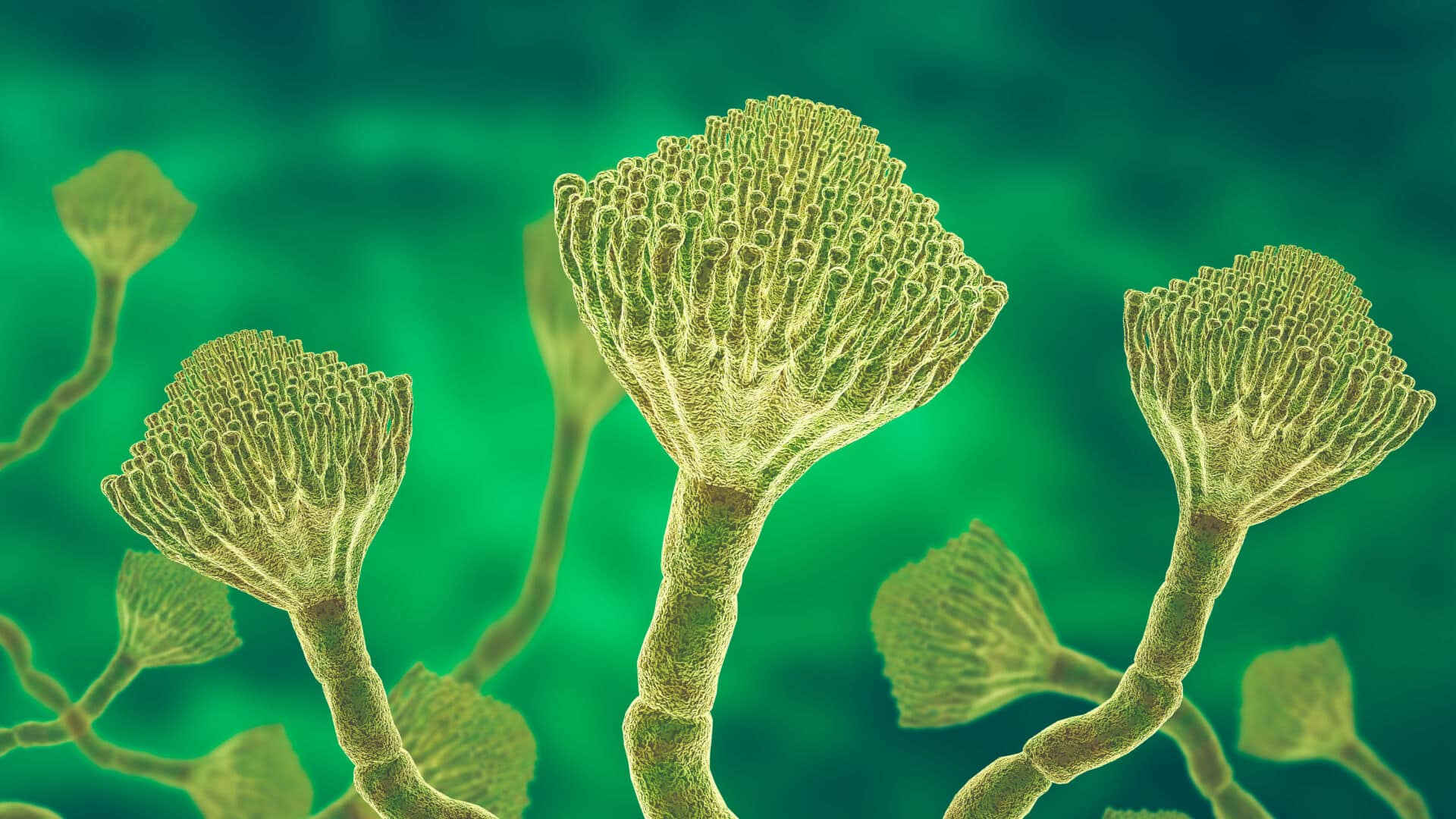 Antibiotic-Biocidal Products