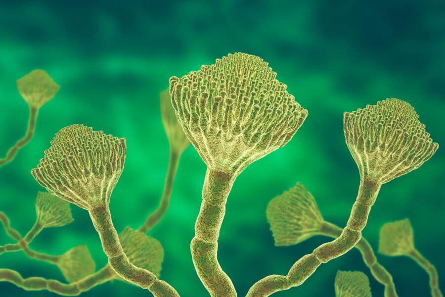 Antibiotic-Biocidal Products