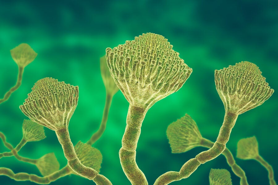 Antibiotic-Biocidal Products