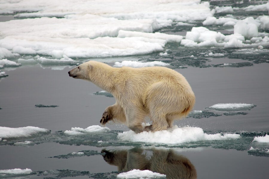ClimateChange_IceMelting_Polar-scaled