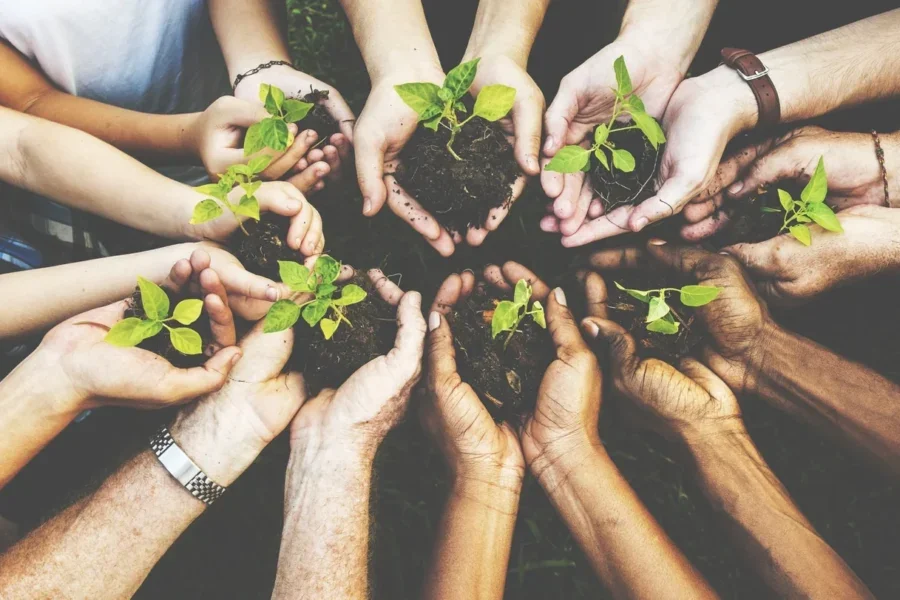 Greenwashing_Plants_growing