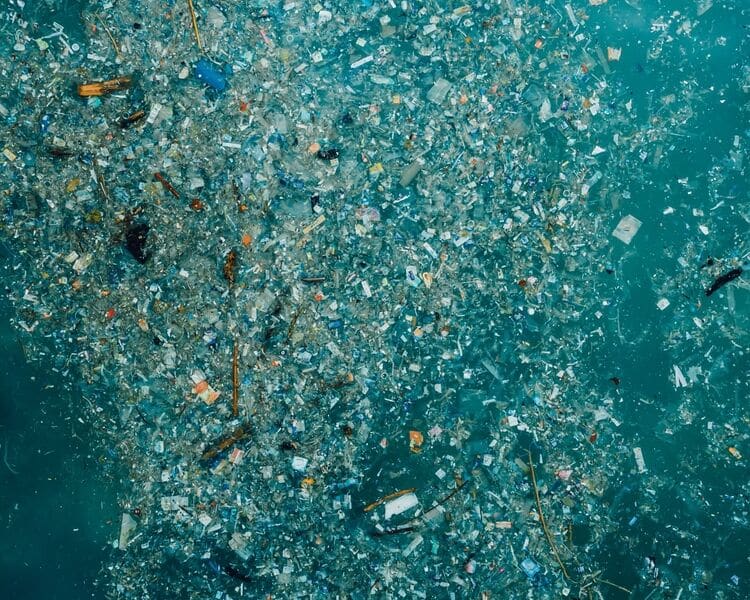 Microplastics are a particularly pernicious form of environmental plastic pollution.