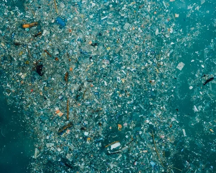 Microplastics are a particularly pernicious form of environmental plastic pollution.