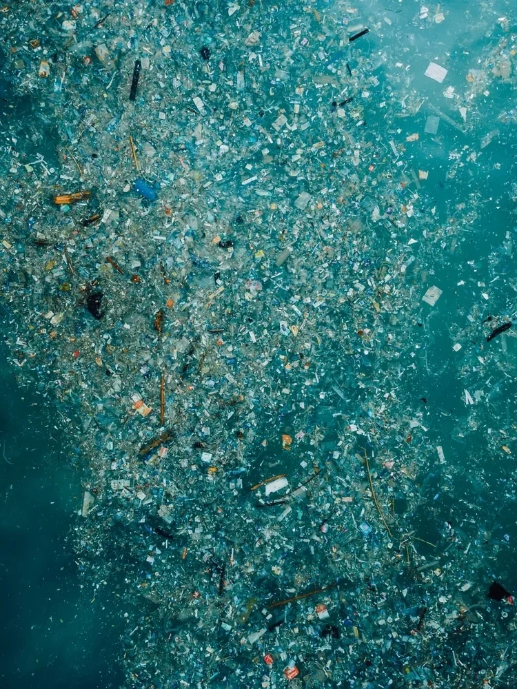 Microplastics are a particularly pernicious form of environmental plastic pollution.