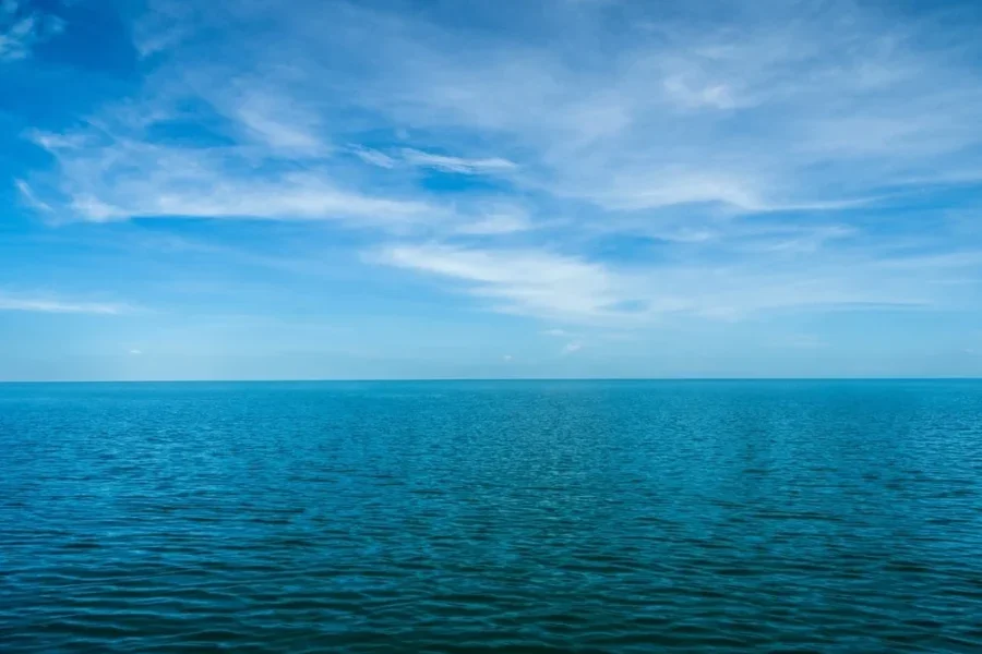 Recent Sustainability Research: Evolving Threats and Adaptive Language