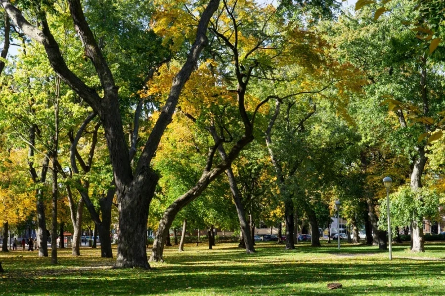 Climate Week Canada discussions aimed to reduce greenhouse gas (GHG) emissions by 2030.