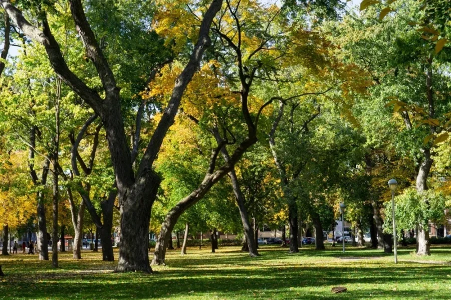 Climate Week Canada discussions aimed to reduce greenhouse gas (GHG) emissions by 2030.