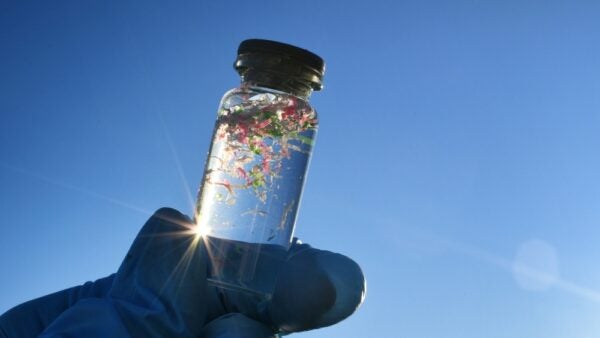 Microbeads and their environmental impact under EU regulation framework.