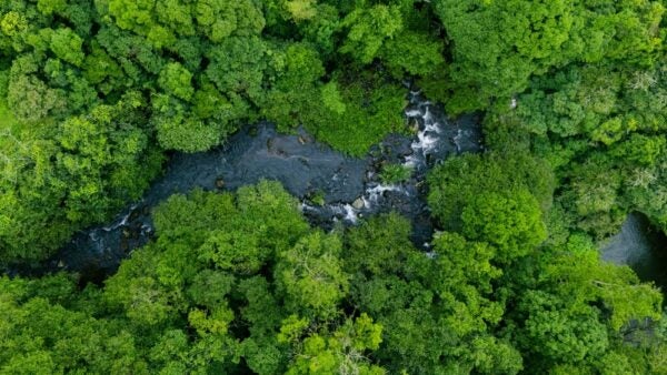Prime Minister Mark Carney has taken a more conservative approach to Canada's environmental commitments, including new amendments to the greenwashing rules.