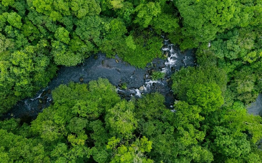 Prime Minister Mark Carney has taken a more conservative approach to Canada's environmental commitments, including new amendments to the greenwashing rules.