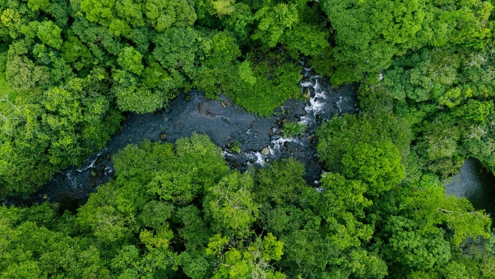 Prime Minister Mark Carney has taken a more conservative approach to Canada's environmental commitments, including new amendments to the greenwashing rules.