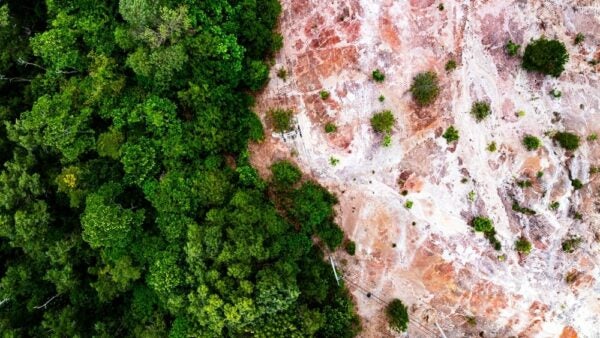 3E is tracking the European Union Deforestation Regulation (EUDR) which continues as it moves toward its final implementation date.