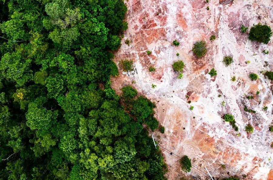 The European Union Deforestation Regulation (EUDR) continues as it moves toward its final implementation date.